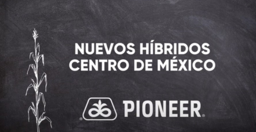 Nuevos Híbridos Bajío